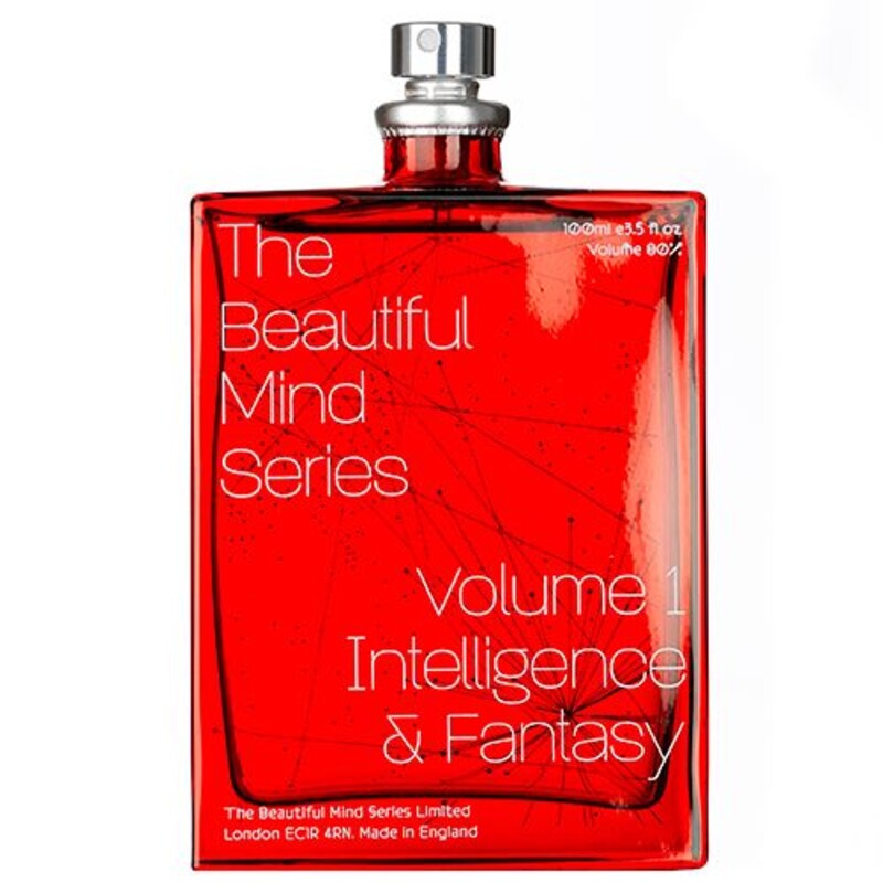 The Beautiful Mind Intelligence & Fantasy «Игры Разума»