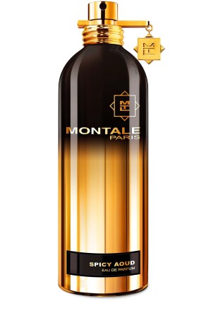 Montale Spicy Aoud «Пряный уд»